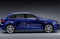 Foto 69998 Belardinelli auto Specializzato Audi Volvo e Volkswagen Senigallia